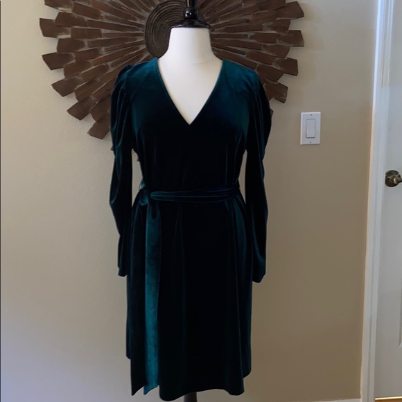 Eloquii Dresses & Skirts - Eloquii Draped Puff Sleeve Velvet Dress